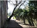 Leaning tree in Flood Lane, near Faversham Creek