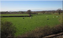SU0055 : Farmland near Lavington Sands by Derek Harper