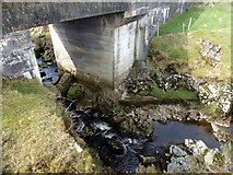 G8188 : Owenroe River at Tullynaglaggan by louise price