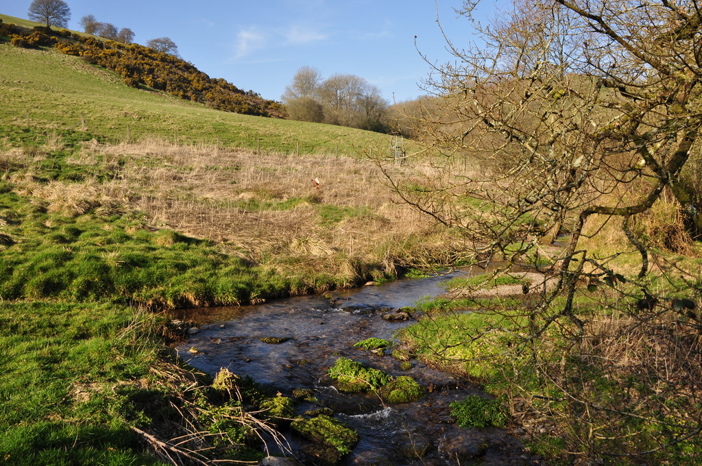 West Somerset : Small Stream © Lewis Clarke :: Geograph Britain and Ireland