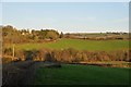 West Somerset : Grassy Countryside