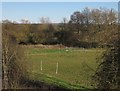 Meadow near Fairwood Farm