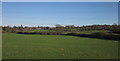 Countryside at Berkley Marsh