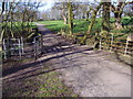 Bridge and Cattle Grid, Brindle Lodge