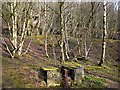 Ruined buildings, Barcombe Colliery, Birkshaw