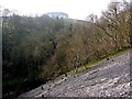 Landslip on east side of Chainley Burn