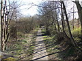 Footpath along Dismantled Railway - Whack House Lane