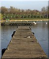 Landing stage, Willen Lake, Milton Keynes