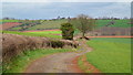 Farm track; early spring