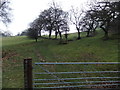 Footpath to Pen-y-Bryn