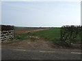 TA1473 : Field entrance off New Road by JThomas