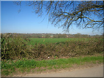 SU6663 : Farmland north of Mortimer Lane by Mr Ignavy