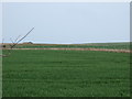 TA1674 : Farmland, Speeton Moor by JThomas