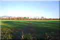 Informal path across a field near Shepway