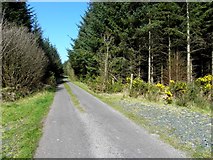 H2514 : Road at Bellaheady by Kenneth  Allen