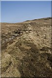NR3570 : Old Boundary near Beinn na Heraibh, Islay by Becky Williamson