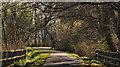J4774 : Spring path, Kiltonga, Newtownards (3) by Albert Bridge