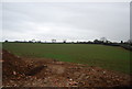 Farmland by Bonscombe Lane