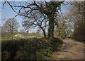 Lane past Wheatcroft Farm