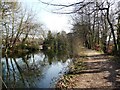 Towpath on the Basingstoke Canal