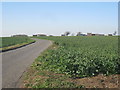 View towards Yawthorpe