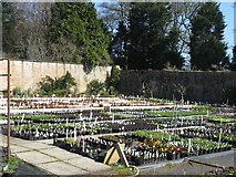 NT0573 : Binny Plants garden centre by M J Richardson