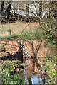 Wymans Brook drops into a culvert