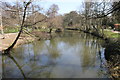 Pittville boating lake - eastern end