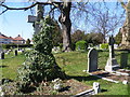 Angel struggling through ivy in Twickenham Cemetery