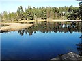 Lochan Reflections