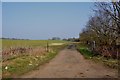 Farm track to The Grange off Great Lane, Clophill