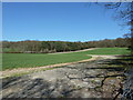 Crop field on Hurst Hill