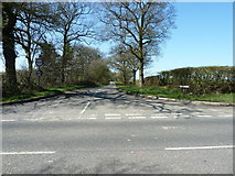 TQ1935 : Green Lane off Horsham Road by Dave Spicer