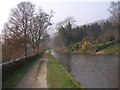 Rochdale Canal south of Brearley