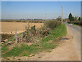 Fields by Thurley Farm