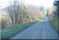 Cownwy road nearing B4393 above Llanwyddn