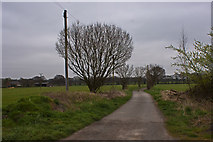 SJ6596 : The footpath at Twiss Green to Leatherbarrow Farm by Ian Greig