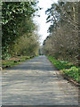 Caddington Common - view southeastwards