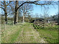 TQ1737 : Sussex Border Path nearing Ridge Farm by Dave Spicer