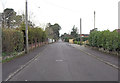 SU1103 : Braeside Road, St Leonards by Stuart Logan