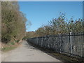 Lane beside the Graesser Chemicals site