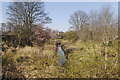 Remains of the Aberdeenshire Canal