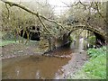 Cosford-River Swift