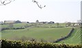 Grassland on the west side of Cavehill Lane