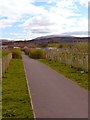 Footpath to Creebridge