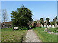 St Peter, Firle: churchyard (15)