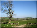 Footpath near Burwains Farm