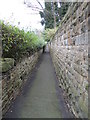 Footpath - Latham Lane