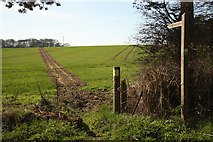 SK7964 : Footpath to Whiteley Plantation by Richard Croft