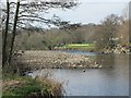 The River South Tyne between Alston Arches Viaduct and Tyne Bridge (2)